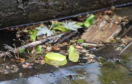 Garbage in the Creek